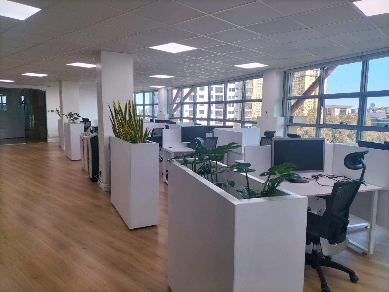 Interpeace International Organization